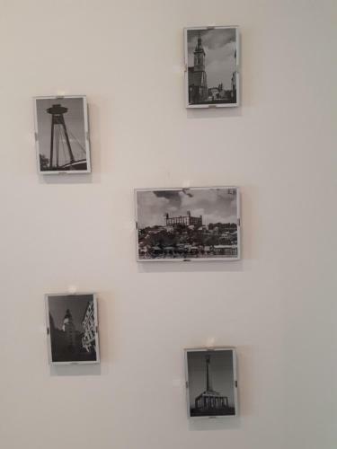 Apartm�n V Centre Bratislavy