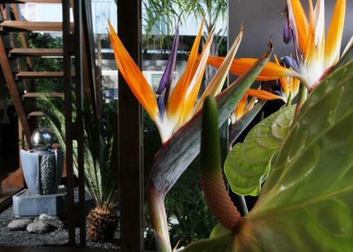 Apartamento Bleu Mer Duplex & Suites