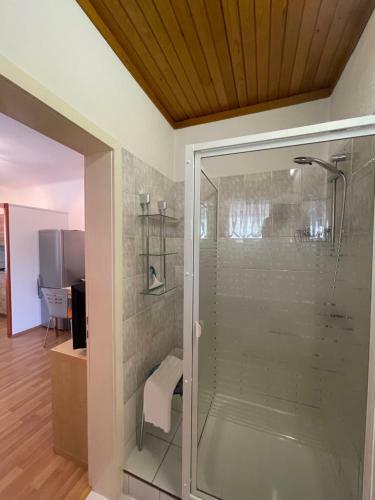 Apartmaji Iva