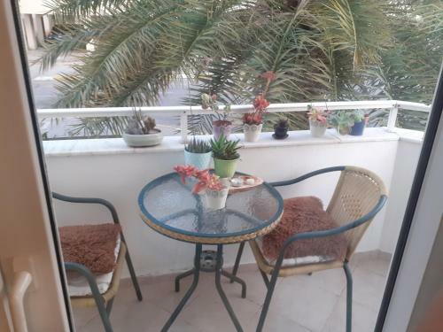 �zyal�?n 74 Apartman? Daire :1