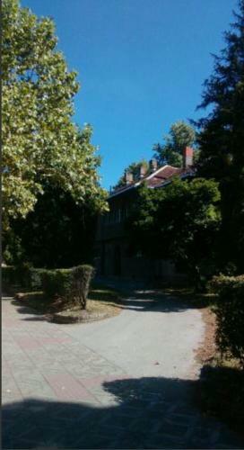 Garden Street Apartment
