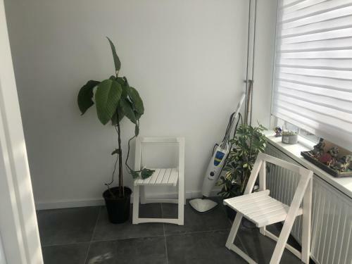 Apartamento Ferien/vakantie Appartement Roompot