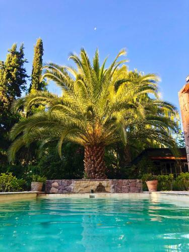 Vine Chateau Apartment