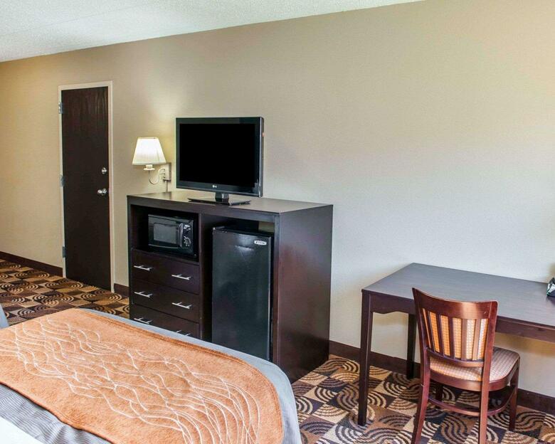 Hotel Comfort Inn & Suites North At The Pyramids