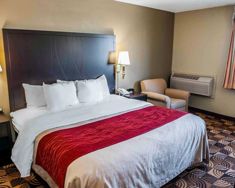 Hotel Comfort Inn & Suites North At The Pyramids