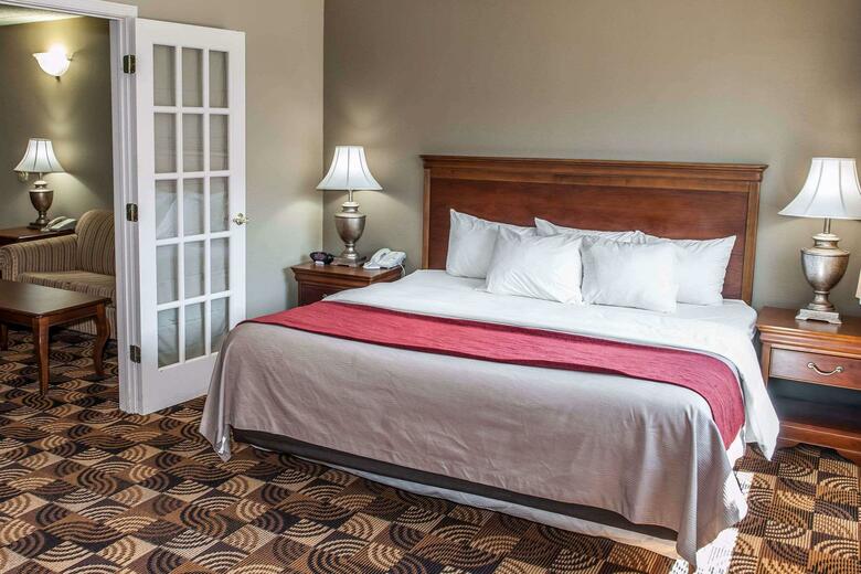 Hotel Comfort Inn & Suites North At The Pyramids