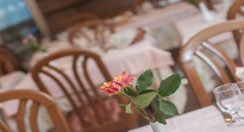 Hotel Albergo Sayonara