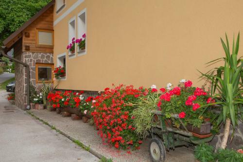 Apartma Erlah