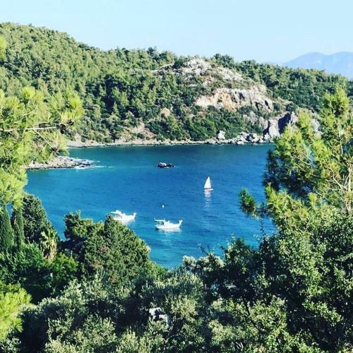 Art Bodrum Mazi Pans?yon