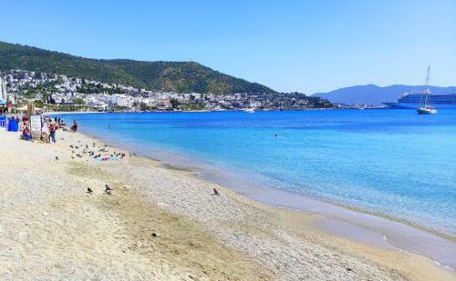 Apartamento Peaceful, Central Organic Life 1br, 4ppl Fast Wifi