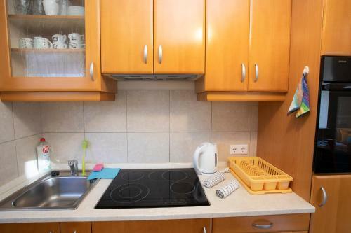 Apartment Tinka