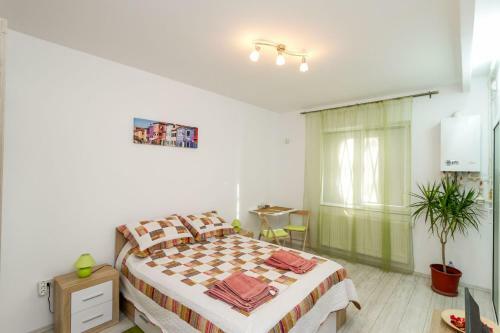 Apartamento Primaverii Studio