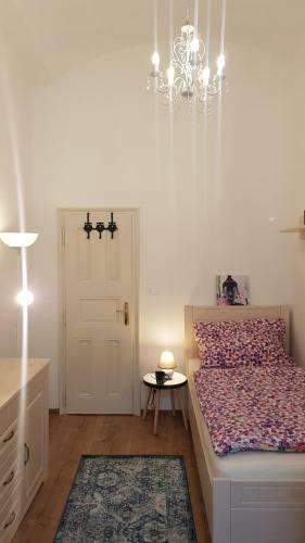 Lovely Center Apartment