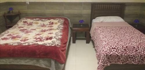 Su�te Vista Da Chapada