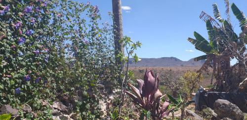 Su�te Vista Da Chapada