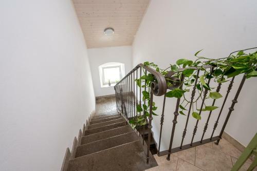 Kronotop Hostel