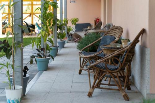 Hostal Accommodation Baron