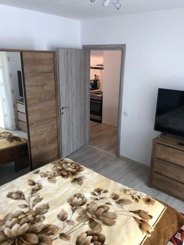Cazare �n Bu?teni - Apartament 3 Camere