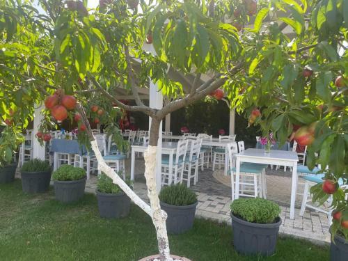 Hotel Calisto17 Otel