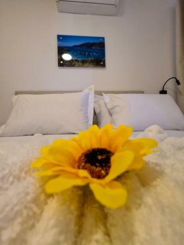 Hostal Pousada Areia Branca