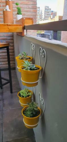 Apartamento Estudio Monoambiente Incre�ble Y �nico