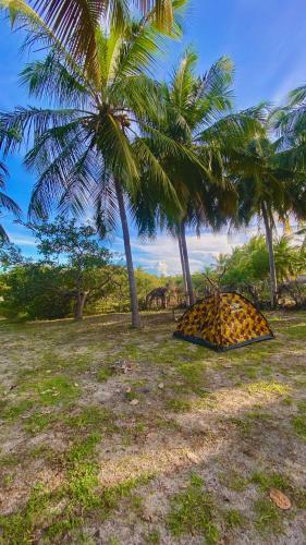 Camping Venturi