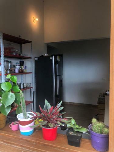Agroturismo Casa Picaflores - Birds & Coffee