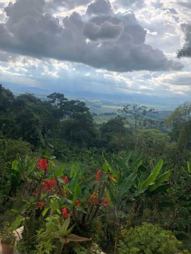Agroturismo Casa Picaflores - Birds & Coffee