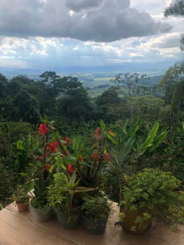 Agroturismo Casa Picaflores - Birds & Coffee