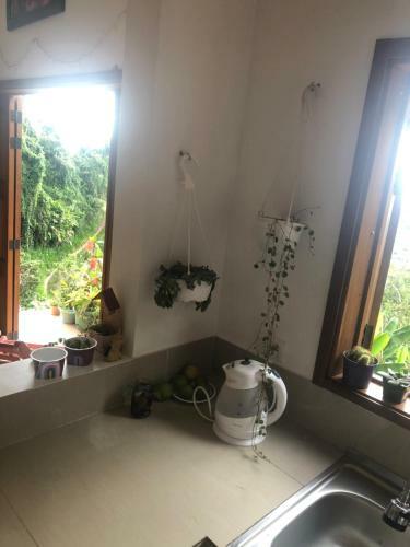Agroturismo Casa Picaflores - Birds & Coffee