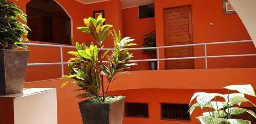Casa Las Begonias