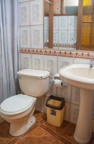 Apartamento Llama Social Hostel