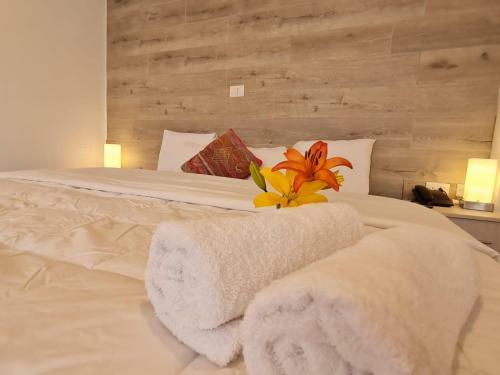 Hotel Cusco