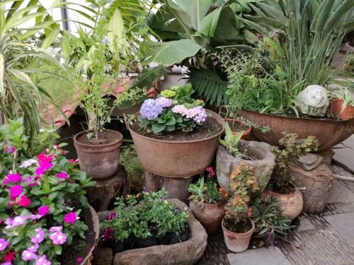 Apartamento Rustico
