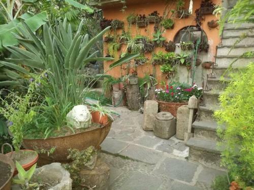 Apartamento Rustico