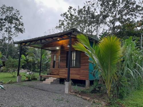 Apartamento Bungalow Bats�