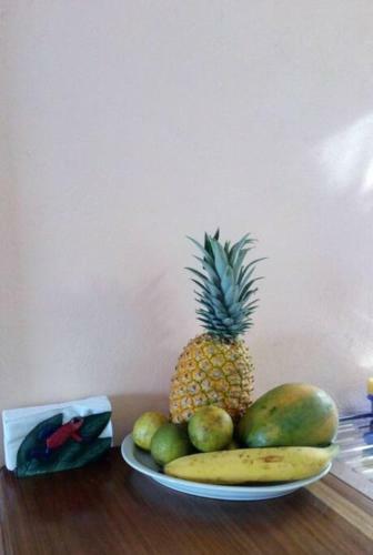 Apartamento Los Tucanes #1
