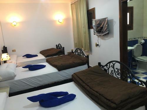 Dahab Home Bed&breakfast