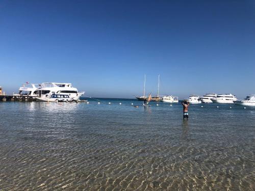 Red Sea Tiba Plaza Apartment