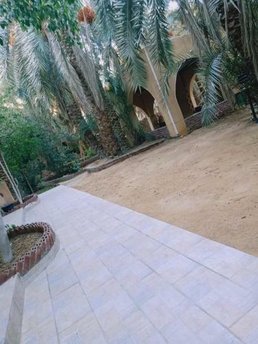 Apartamento Palm Trees Hotel