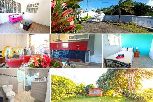 Apartamento Le Litchi - R�nov� - Jardin Arbor�