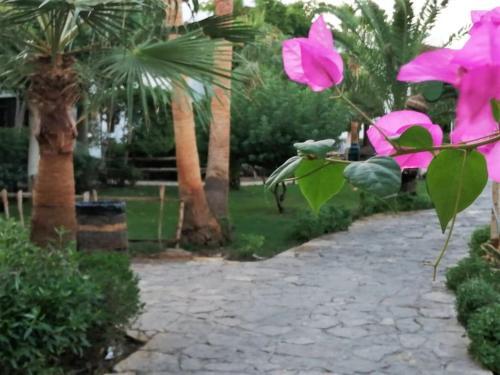 Apartamento Delta Sharm Studio, 50m2 Pool View, Wifi - No Fees B80108