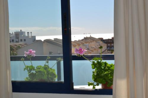 Playamarina II Aparthotel Cabo Roig