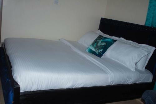 Elegant & Comfy Studio Apartment, Eastern Bypass - Ruiru
