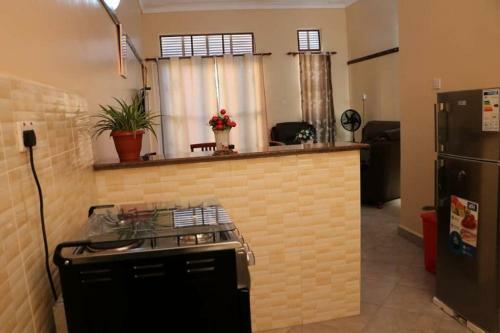 Apartamento Deluxe Two Bed Room Flat In Muyenga Area Kampala