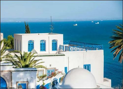 Sidi Bou Sa�d