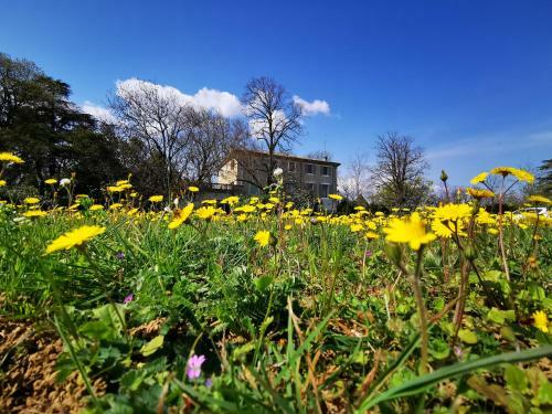 Bed & Breakfast Le Clos De La Chardonni�re