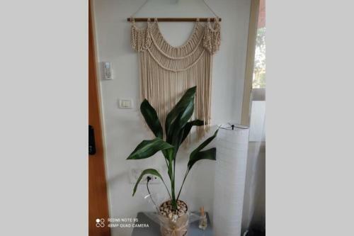Apartamento ??? ????