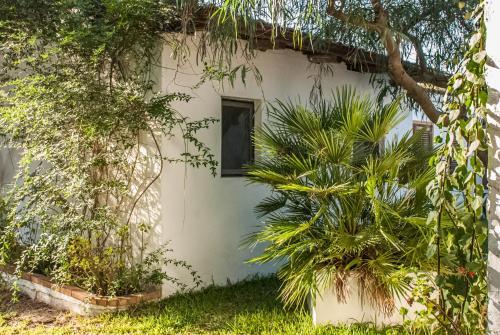 Villaggio Camping Mimosa