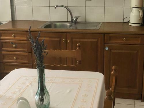 Hostal ?enonas Kourites